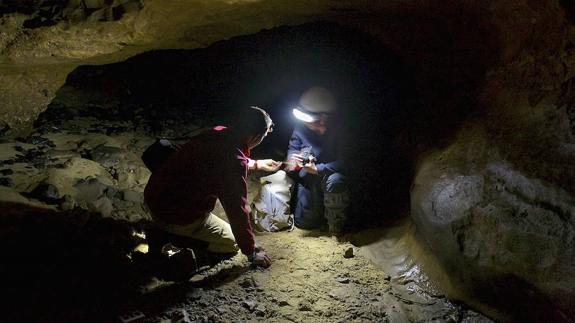 Recogida de material sedimentado en la cueva de El Sidrón. 
