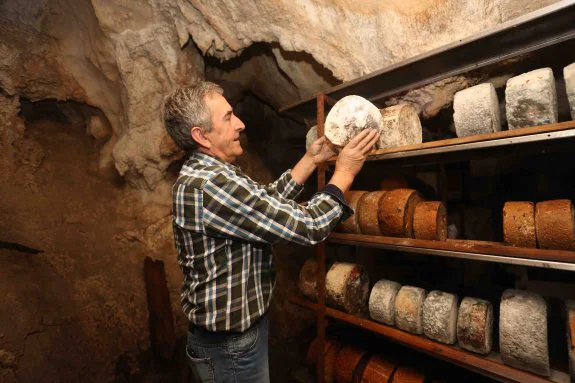 El quesero Gerardo Niembro, en la cueva de Quiliama, en Benia de Onís, donde cura sus quesos Gamonéu. 