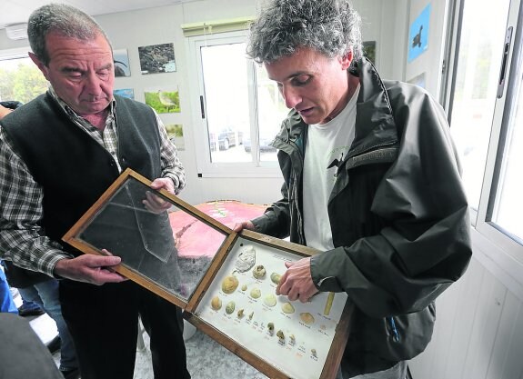 Armando González y César Álvarez, con un cuadro sobre la recuperación de moluscos en la ría. 