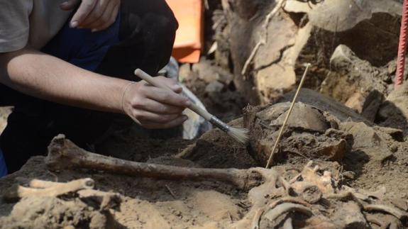 Restos encontrados en la fosa de Pravia. 