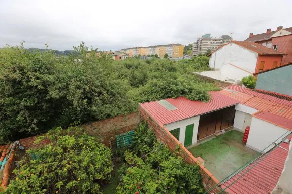 La maleza, en las fincas entre El Caleyón y El Carmen. 