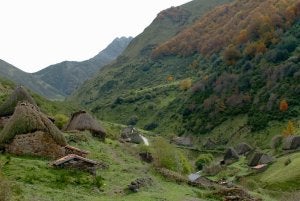 Naturaleza consolidada