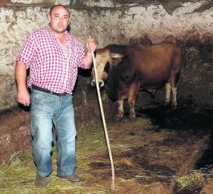 Mieres asegura que el toro de Pinos «no fue maltratado»