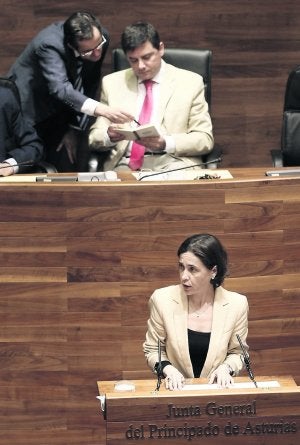 La consejera de Hacienda, Dolores Carcedo, en un pleno de la Junta General. ::                             MARIO ROJAS