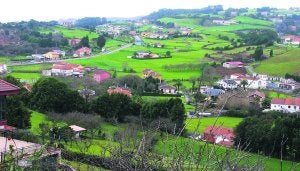 Al fondo de la imagen, la bolsa de suelo afectada de Perlora. ::                             P. G.-P.