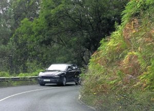 En la carretera de La Plata (AS-320) la vegetación resta visibilidad. ::                             SERGIO LÓPEZ