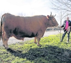 'Pezuñas' rompe la báscula