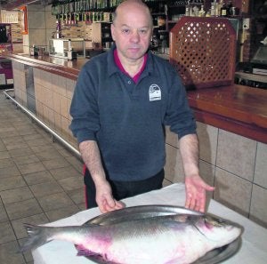 ::                             :: PEPE G.-PUMARINO