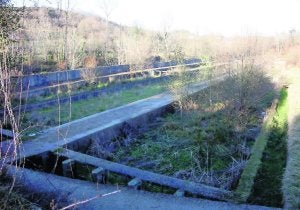 Instalaciones de la vieja piscifactoría de Soto de Dueñas donde se levantará la planta de esturiones. ::
N. A.