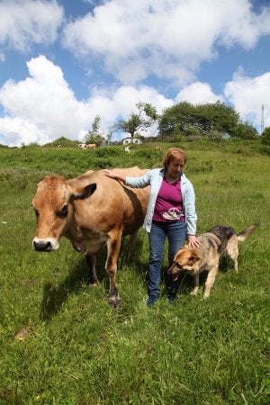 Estrella Méndez, de La Pedrera (en el ímite entre Corvera y Llanera), con una de sus vacas y su perro. ::                             SERGIO LÓPEZ