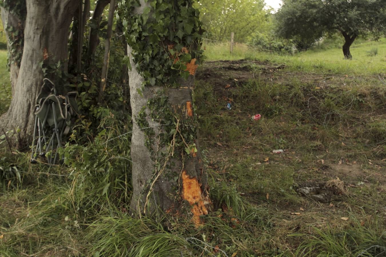Trágico accidente en un rally en Cantabria
