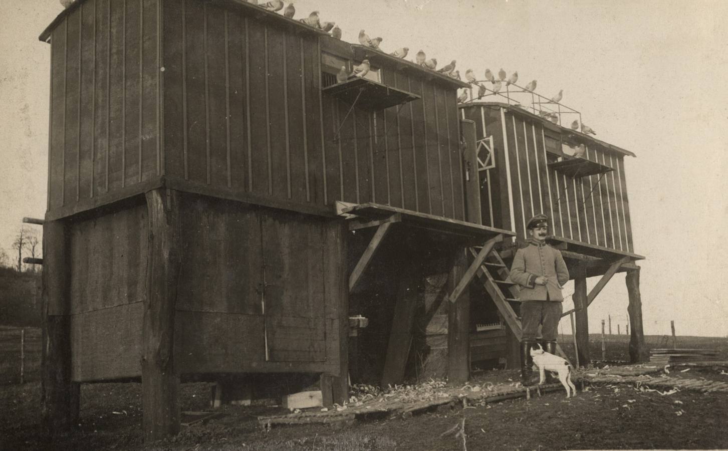 La Primera Guerra Mundial, 100 años después