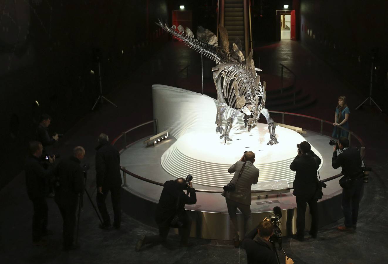 El esqueleto más completo del Stegosaurus