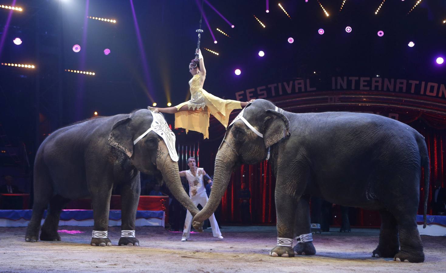 Los elefantes, las estrellas del Festival Internacional de Circo de Montecarlo