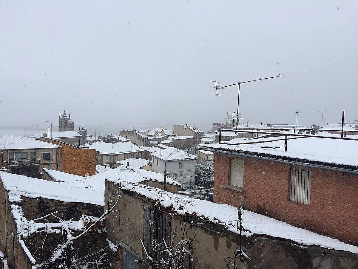 Rioja Alavesa también ha visto como cuaja la nevada