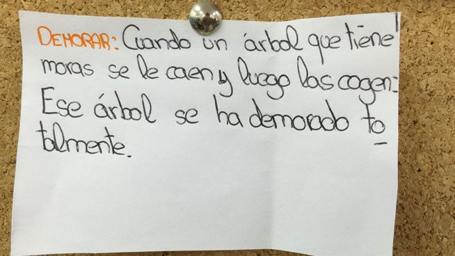 Curiosas definiciones elaboradas por niños que triunfan en la red