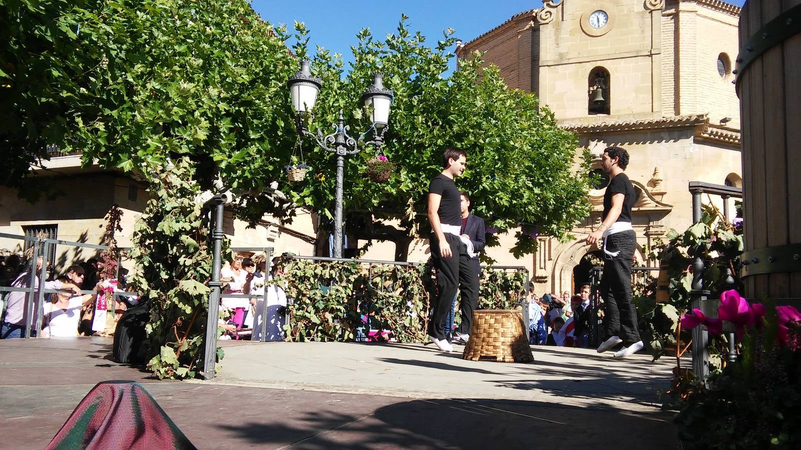 La XXII fiesta de la Vendimia de Rioja Alavesa