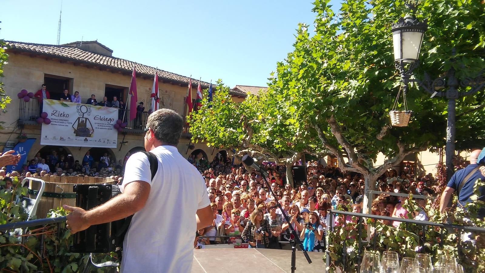 La XXII fiesta de la Vendimia de Rioja Alavesa