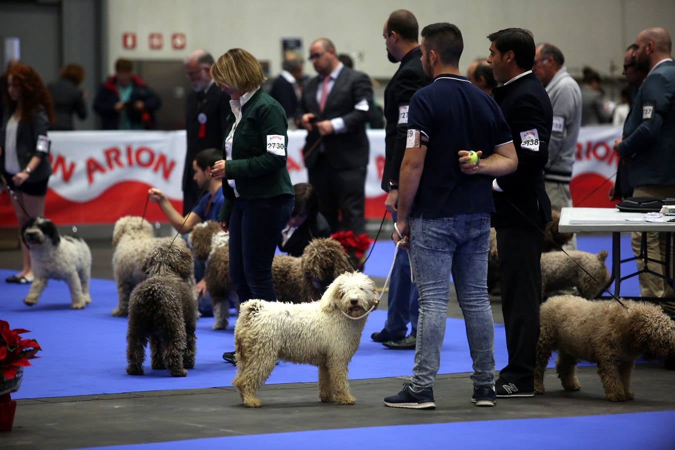 Más de 4.000 perros se dan cita hoy en el BEC