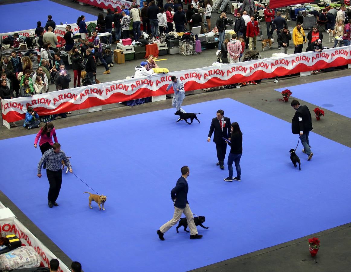 Más de 4.000 perros se dan cita hoy en el BEC