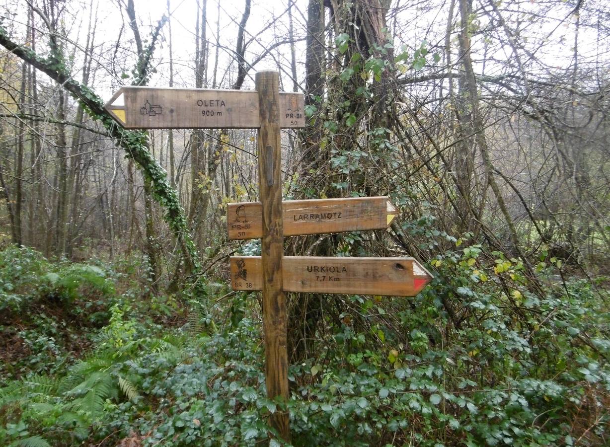 Paneles indicadores. 