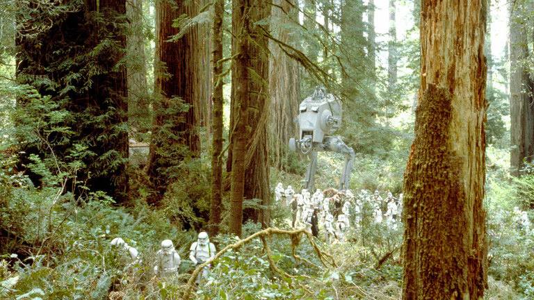 Endor. Es una luna montañosa cuyos habitantes más conocidos son los Ewoks. En Endor transcurrió la mayor de las batallas de la Guerra Civil, en la que la Estrella de la Muerte II fue destruida, y Palpatine y Darth Vader murieron, lo que permitió a la Alianza dividir al Imperio.