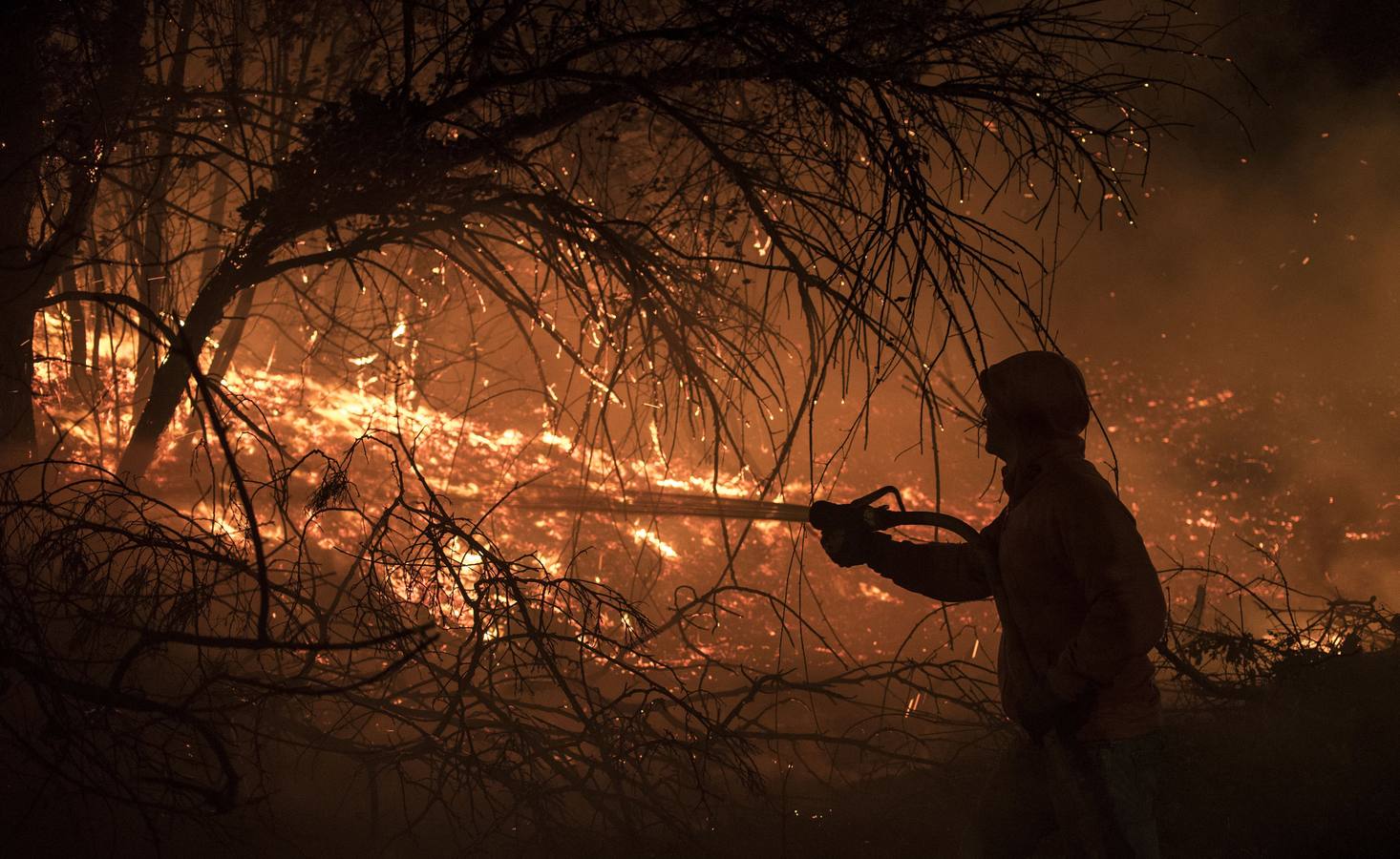 El incendio declarado en Berango, en imágenes