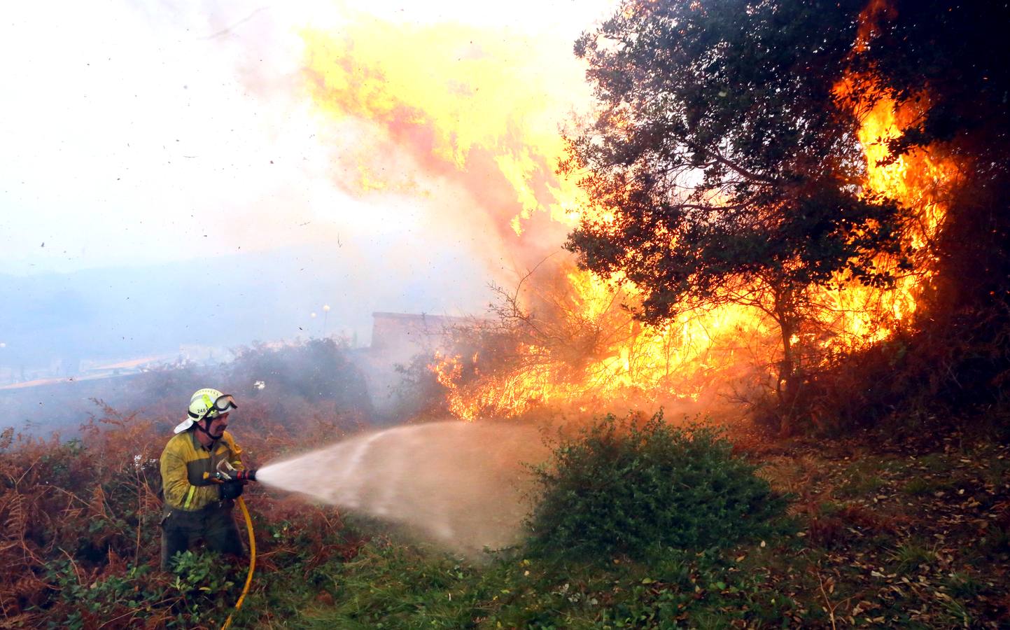 La lucha contra el fuego en Berango