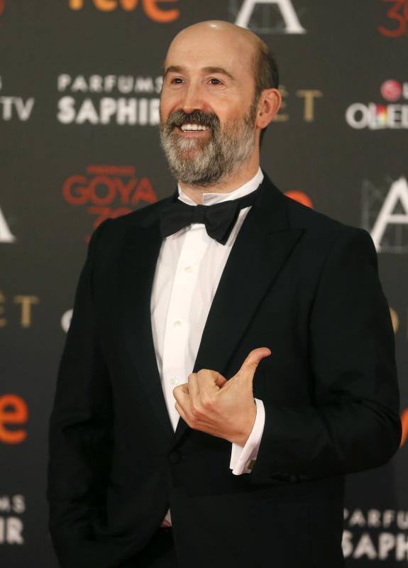 El actor Javier Cámara