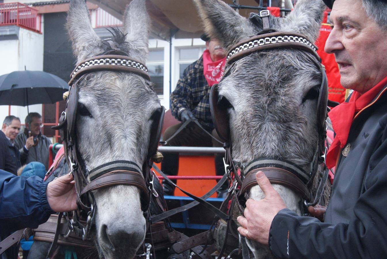Desde Llodio a El Rocío en mula