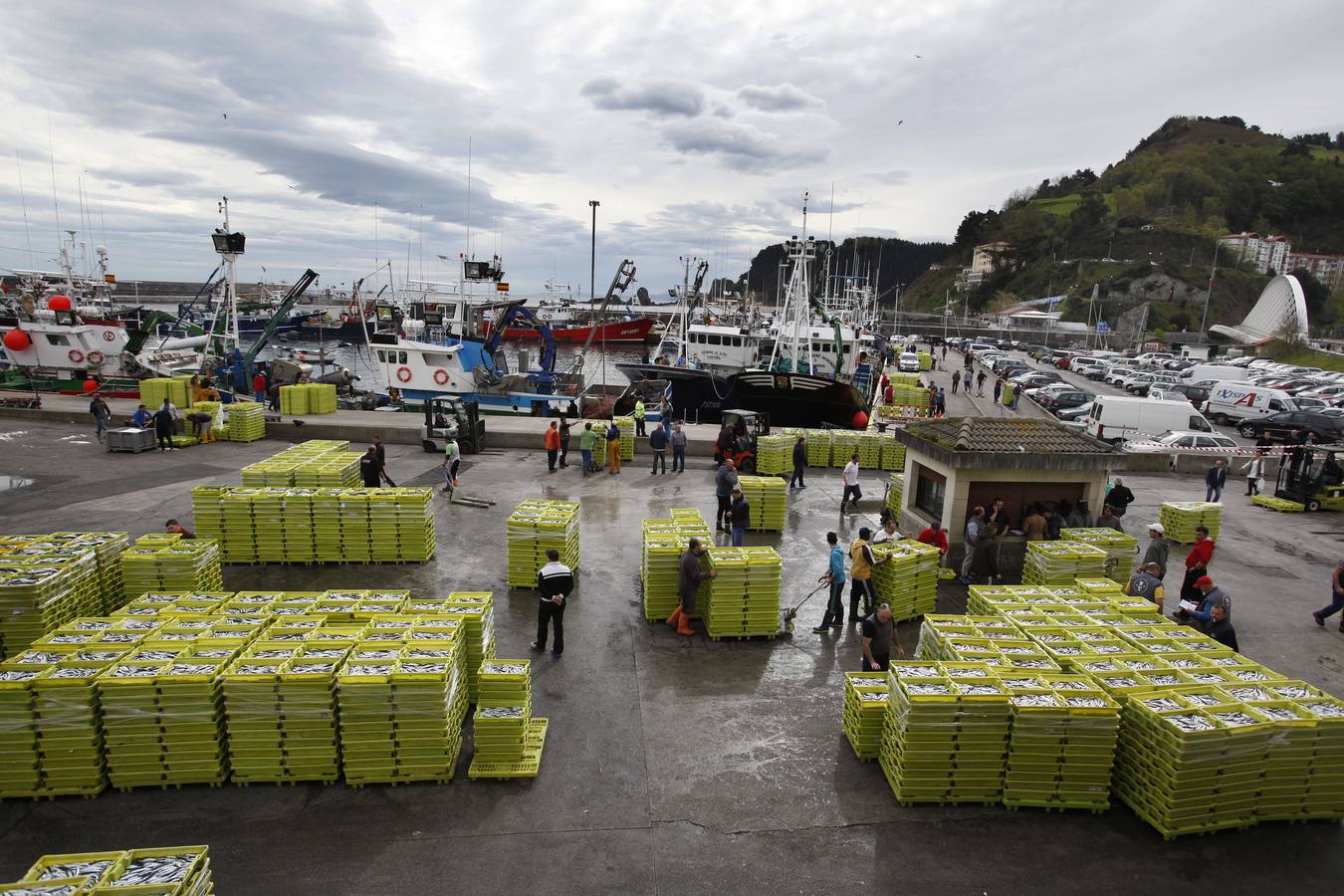 La campaña de la anchoa desborda al puerto de Ondarroa