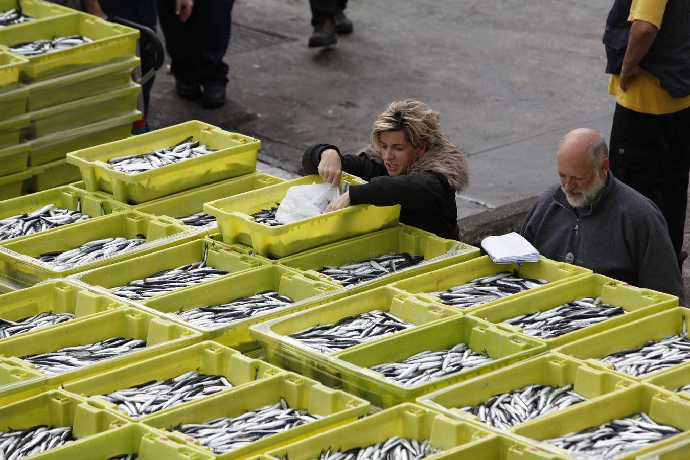 La campaña de la anchoa desborda al puerto de Ondarroa