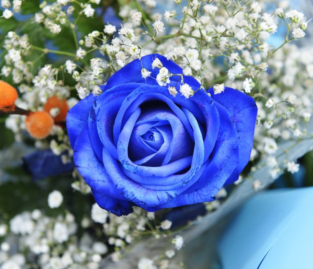 Mercado de las flores de El Arenal