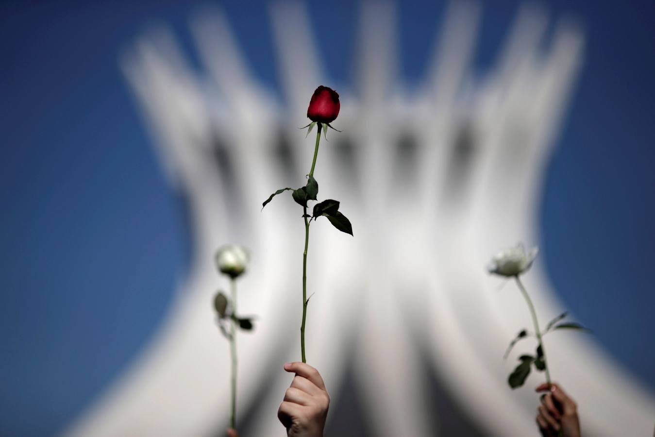 Brasil, rosas y sangre contra la violencia hacia la mujer