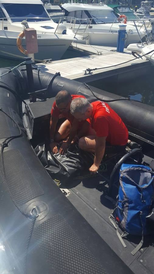 La Ertzaintza rescata a un jabalí de morir ahogado en Gipuzkoa