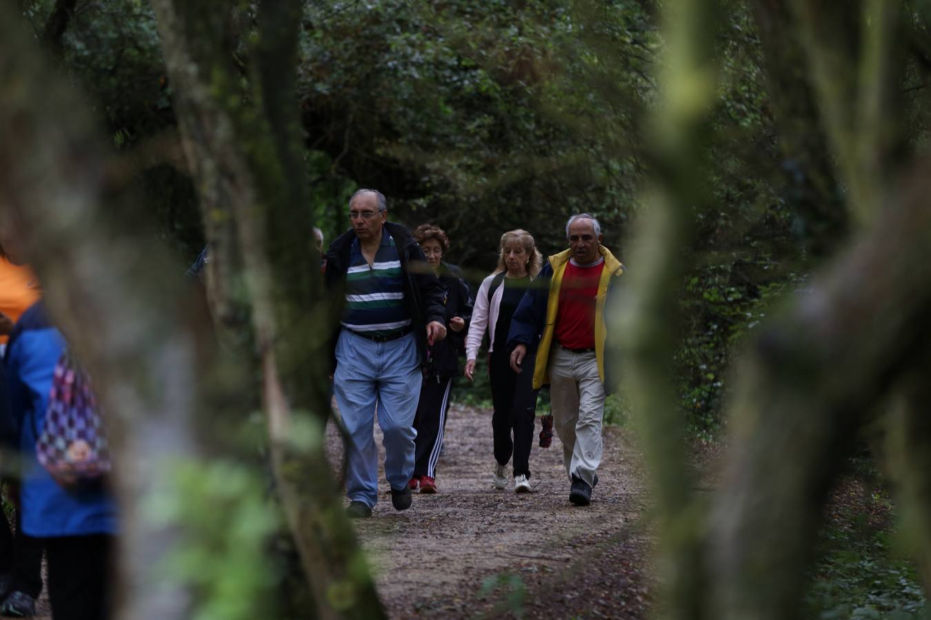 Nueva Marcha Green organizada por EL CORREO