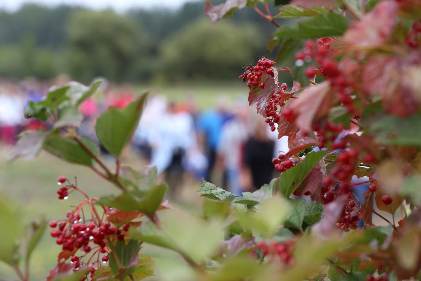 Nueva Marcha Green organizada por EL CORREO