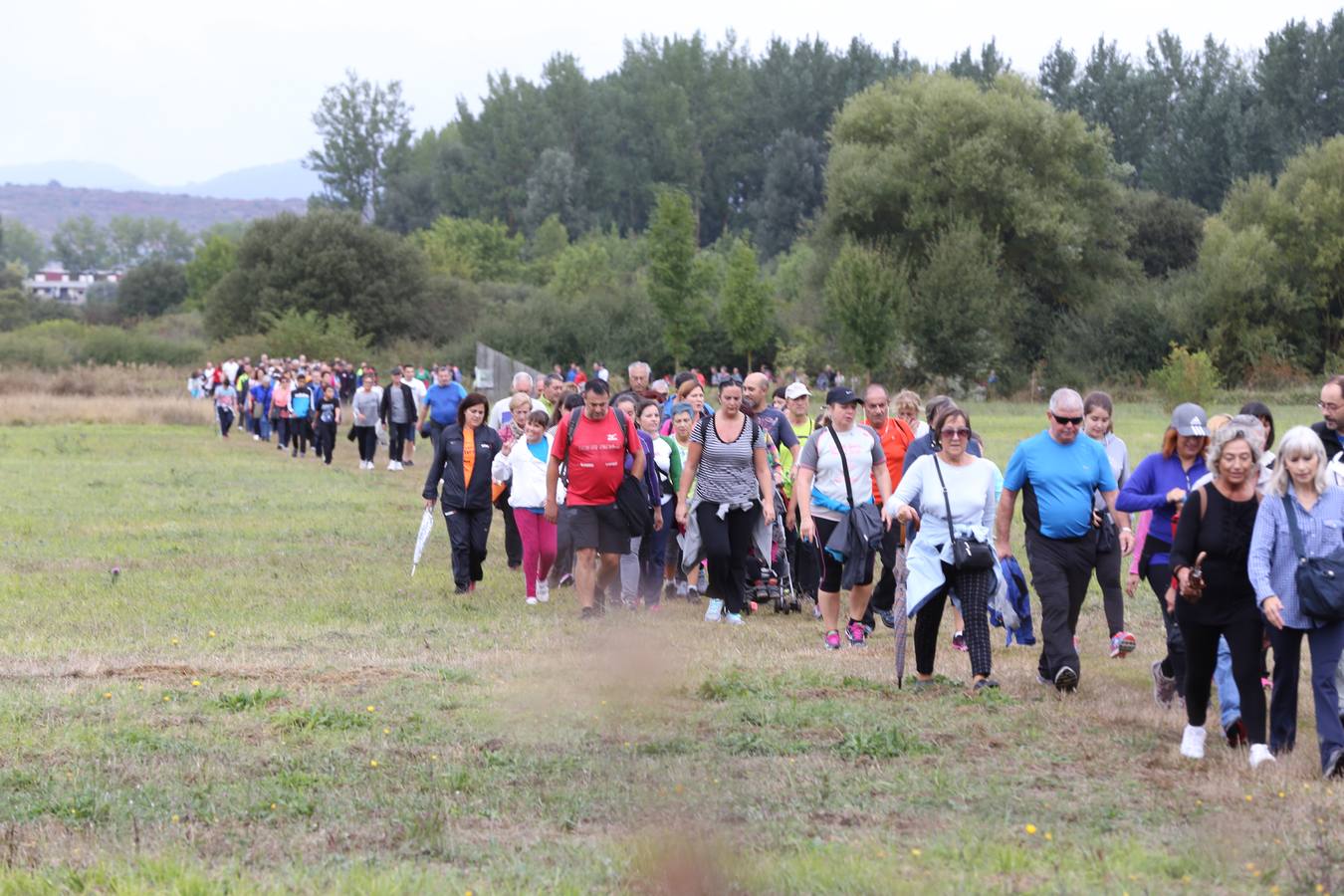 Nueva Marcha Green organizada por EL CORREO