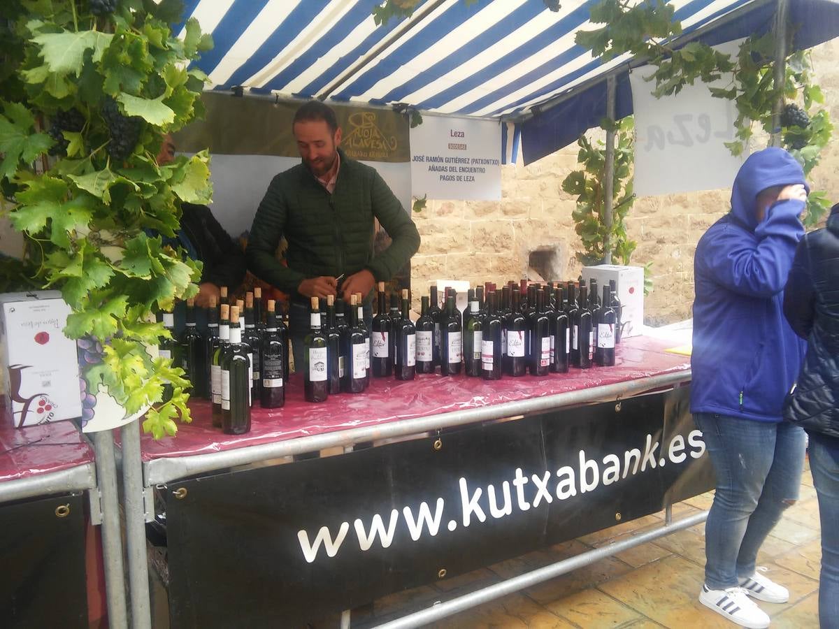 El agua no puede con el vino en Samaniego