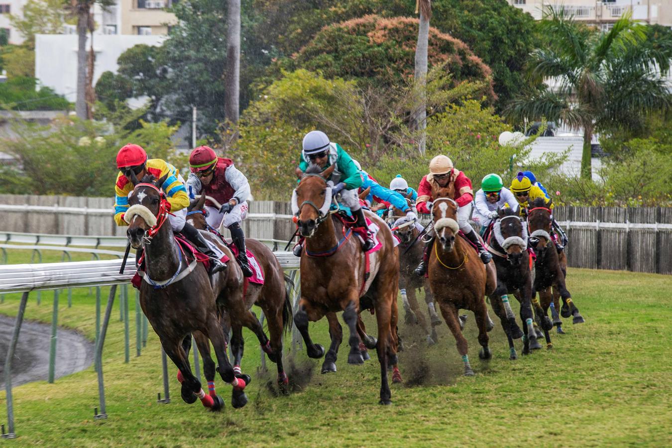 Un día en las carreras en Port Louis