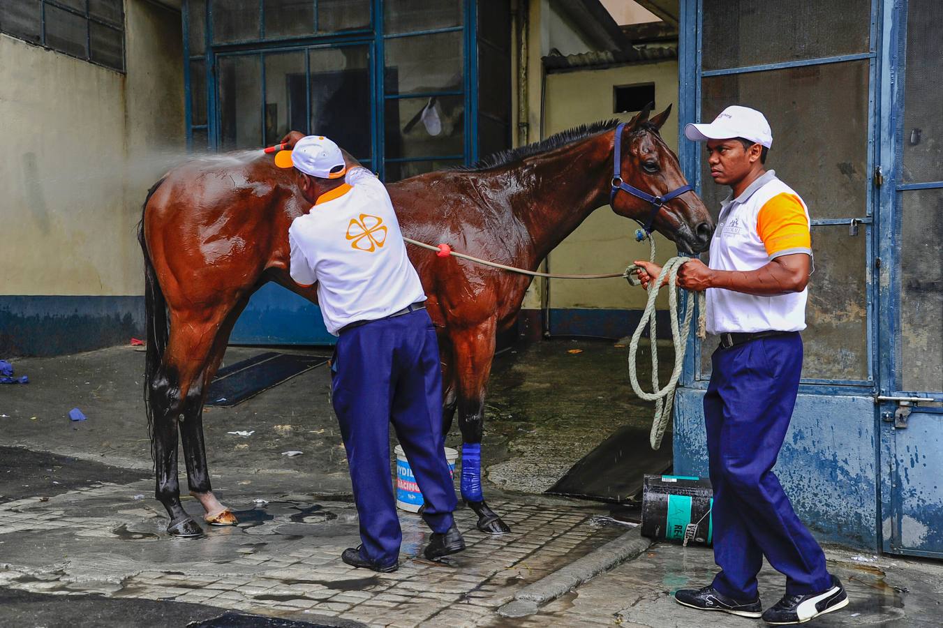 Un día en las carreras en Port Louis
