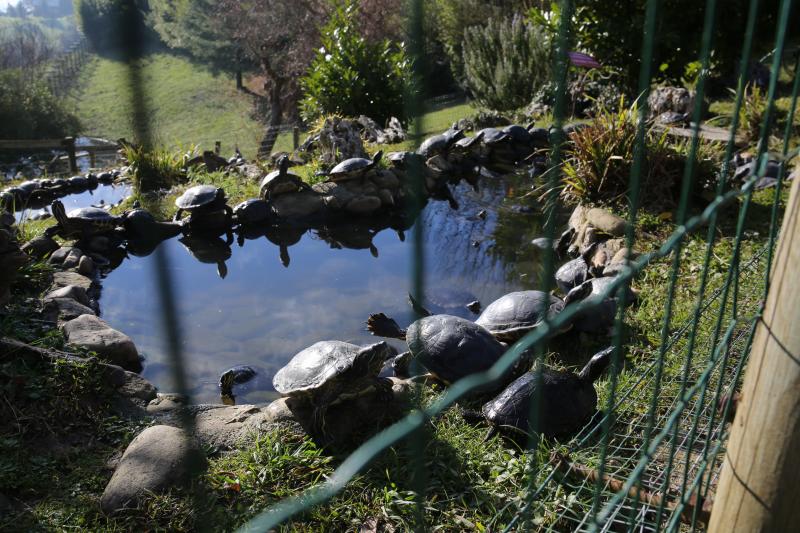 Un paseo por El Karpin