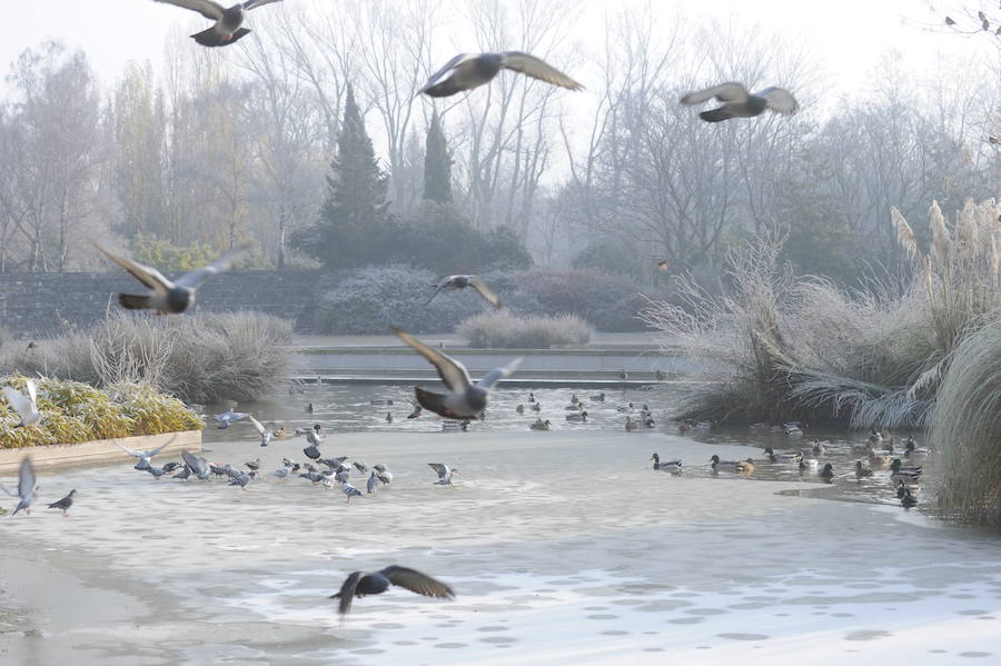 Álava despide el año a bajo cero