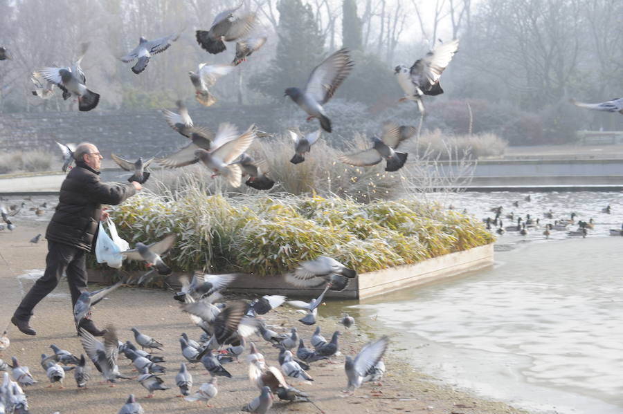 Álava despide el año a bajo cero