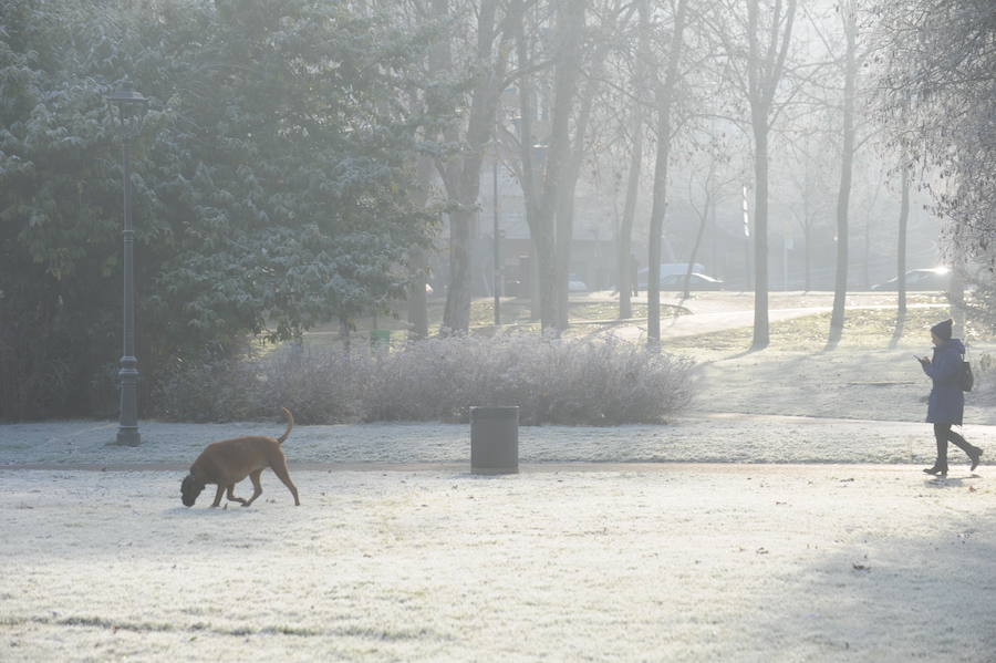 Álava despide el año a bajo cero