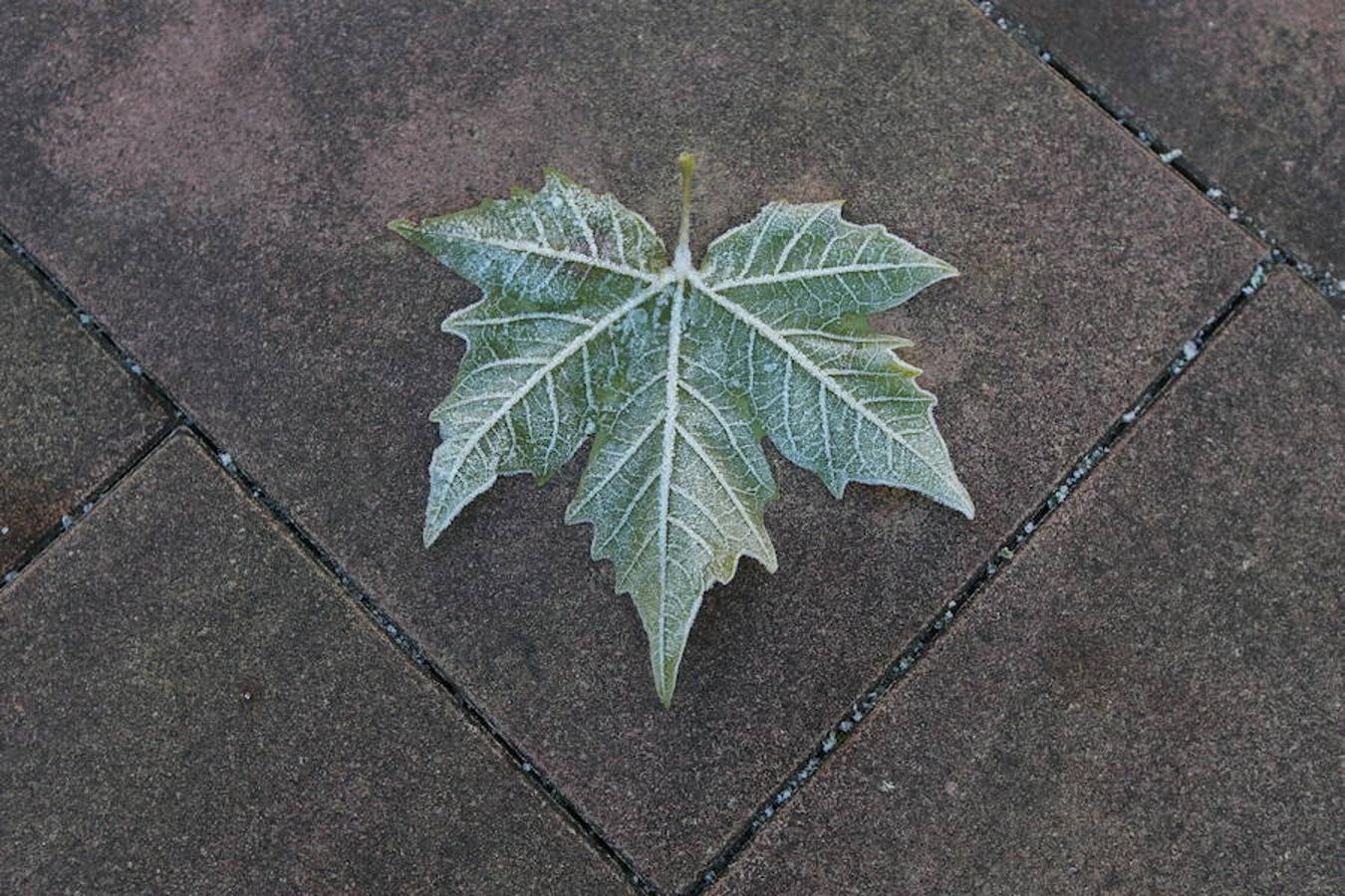 Así de fría estaba la mañana en El Regato y en Otxandio