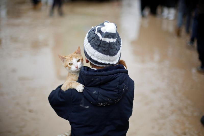 Los desplazados huyen de Mosul, baluarte del Estado Islámico