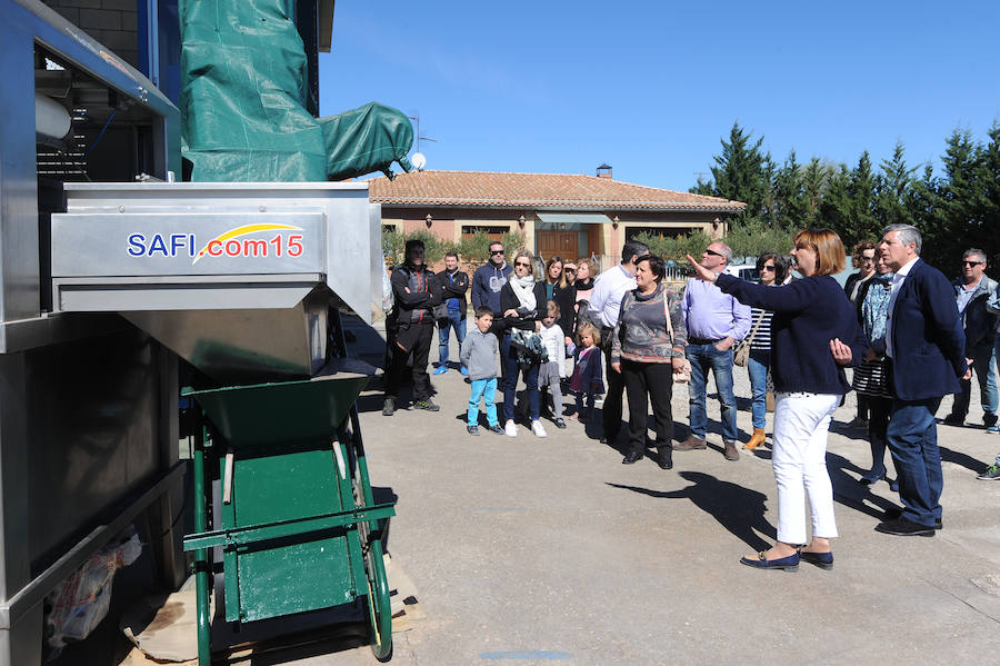 Oion se vuelca con la Fiesta del Aceite de Oliva de Rioja Alavesa
