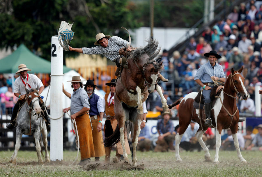 Los saltos a caballo más espectaculares de Montevideo