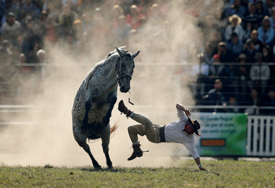 Los saltos a caballo más espectaculares de Montevideo